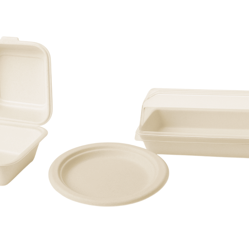 Sugarcane Products